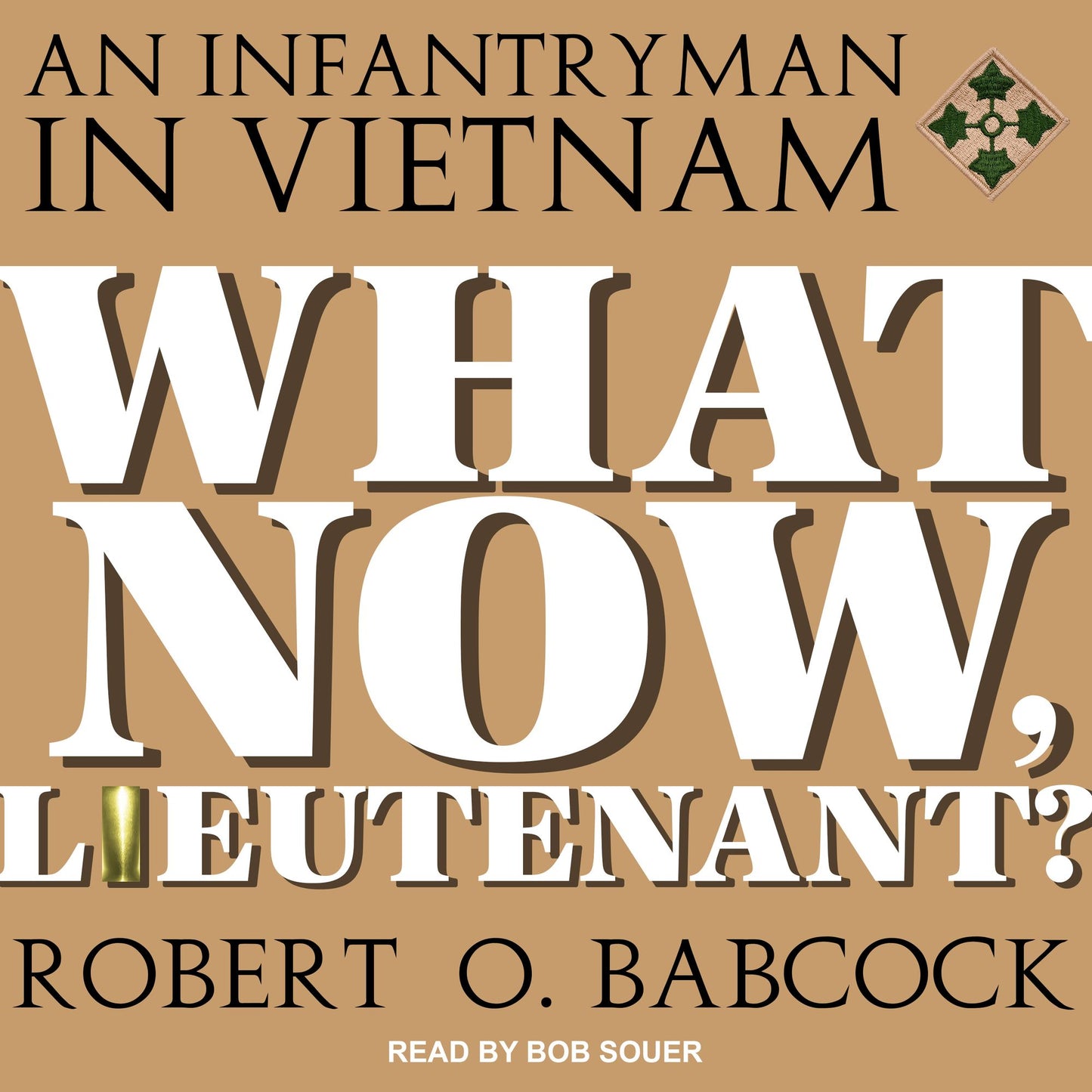 What Now, Lieutenant?