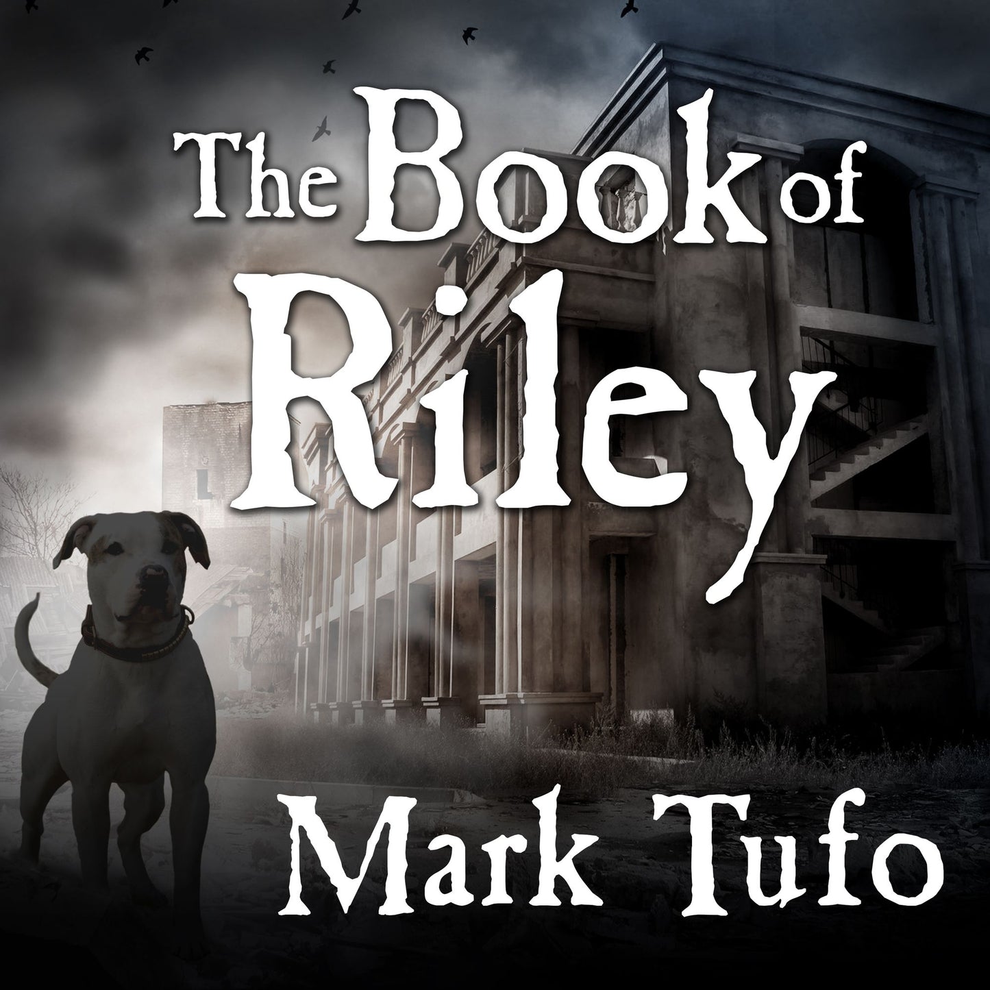 The Book of Riley: A Zombie Tale