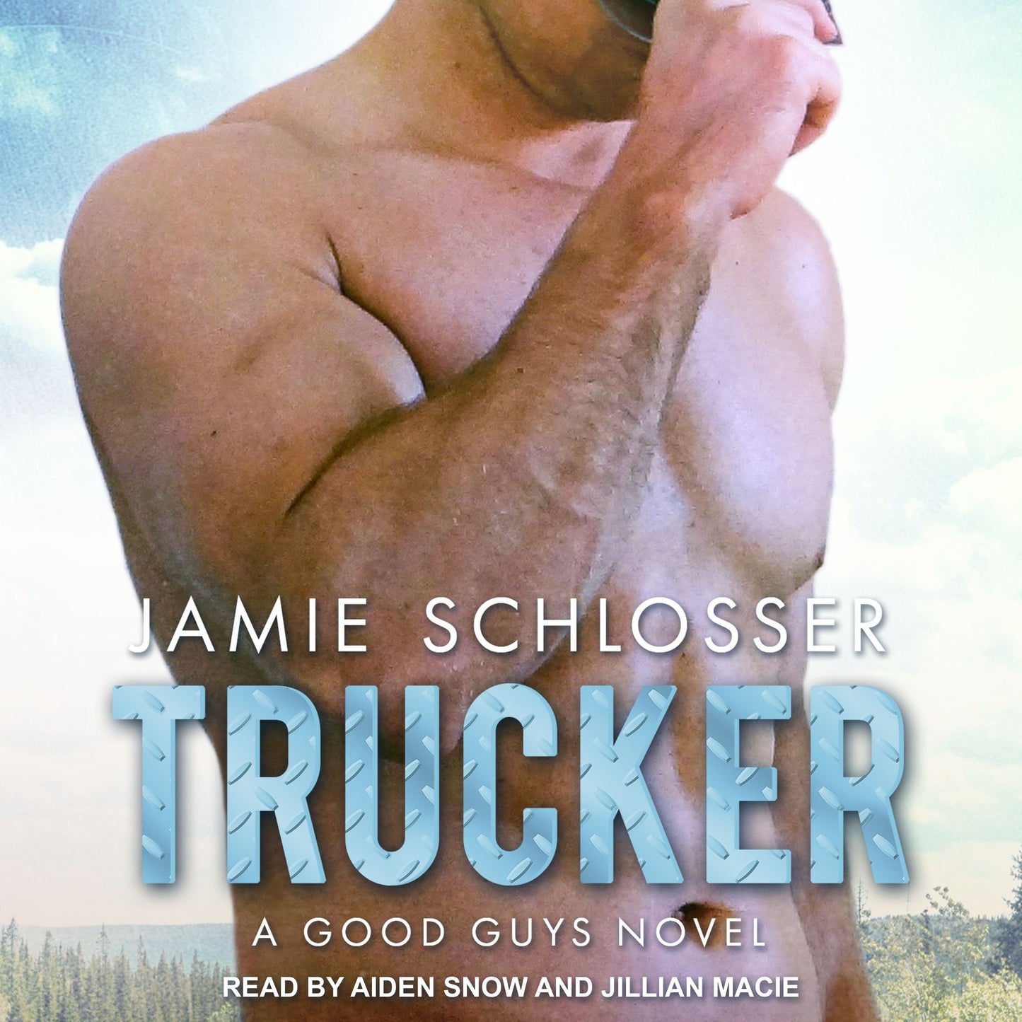 Trucker: A Good Guys Novel