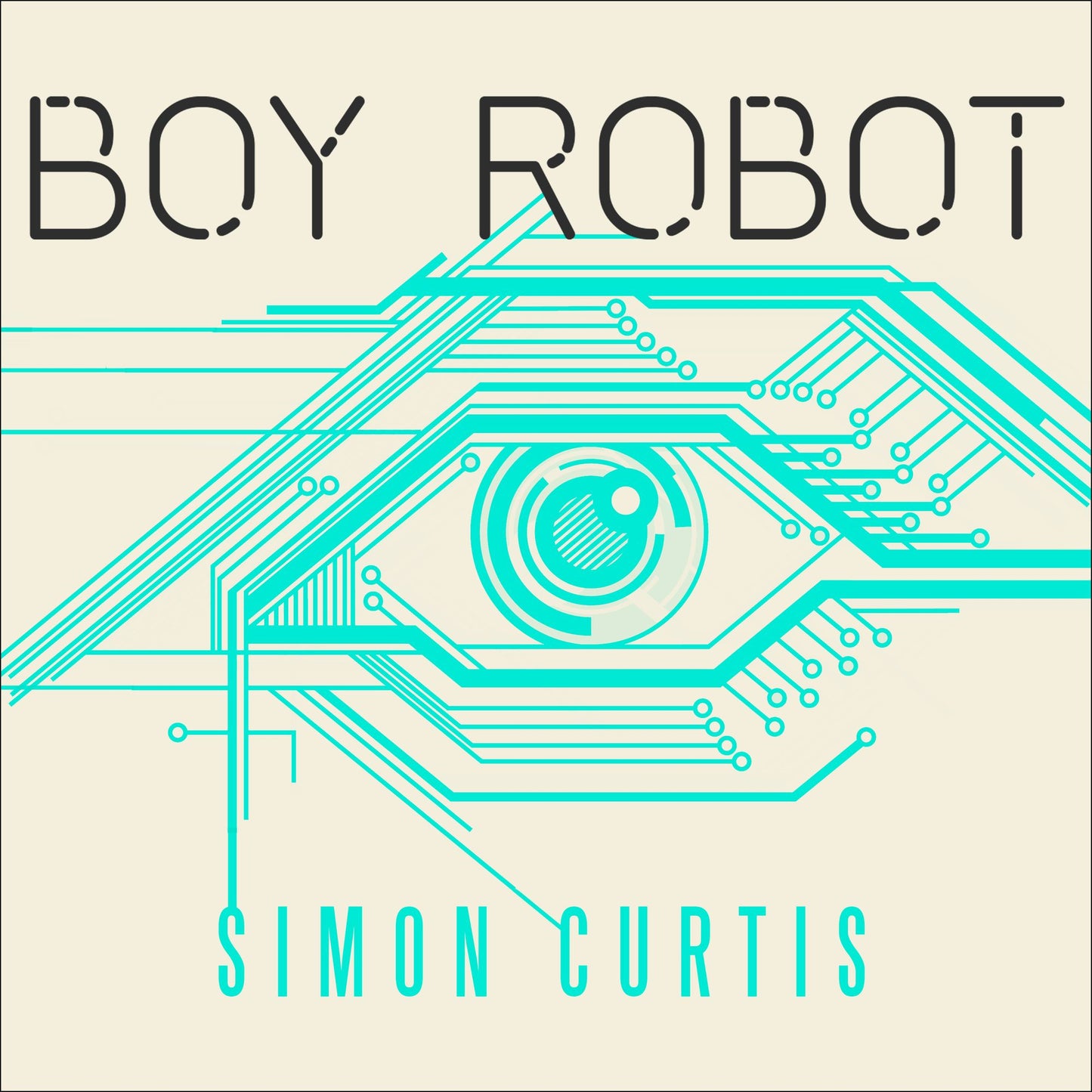 Boy Robot