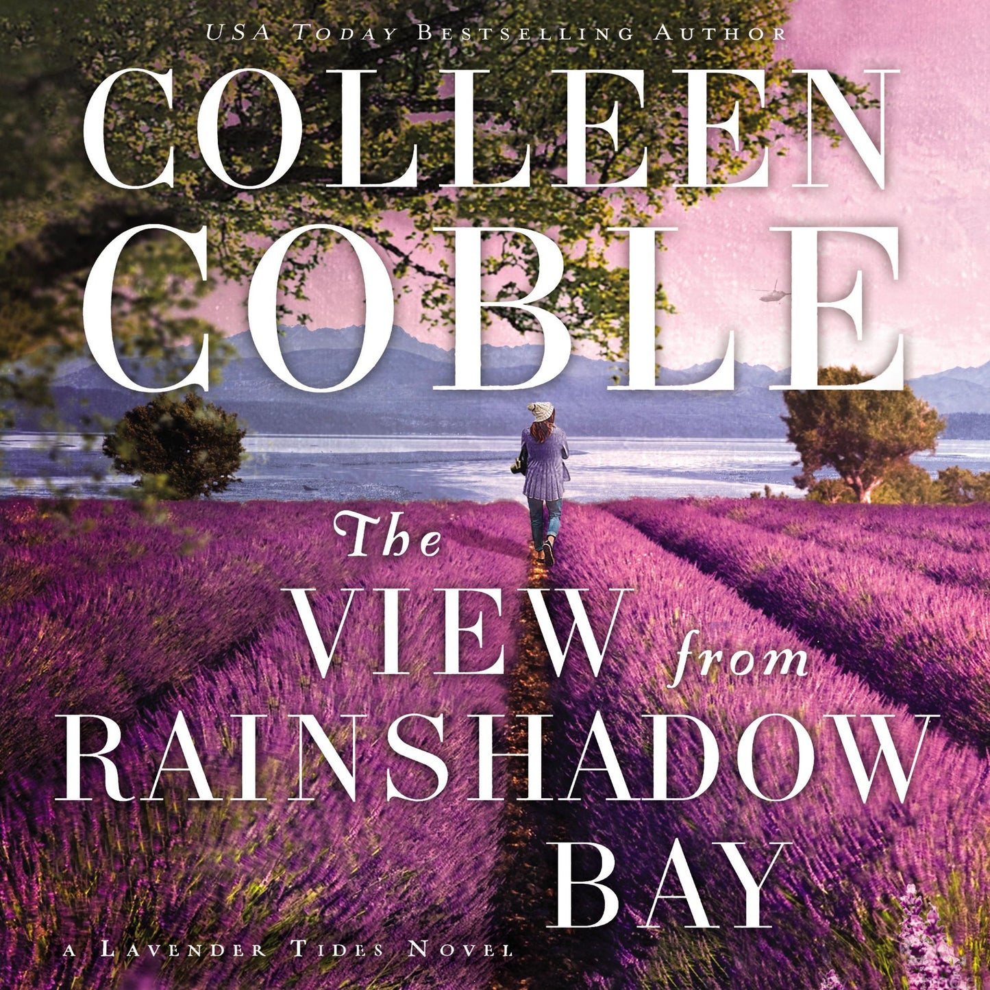 The View from Rainshadow Bay: A Lavender Tides Novel, Book 1