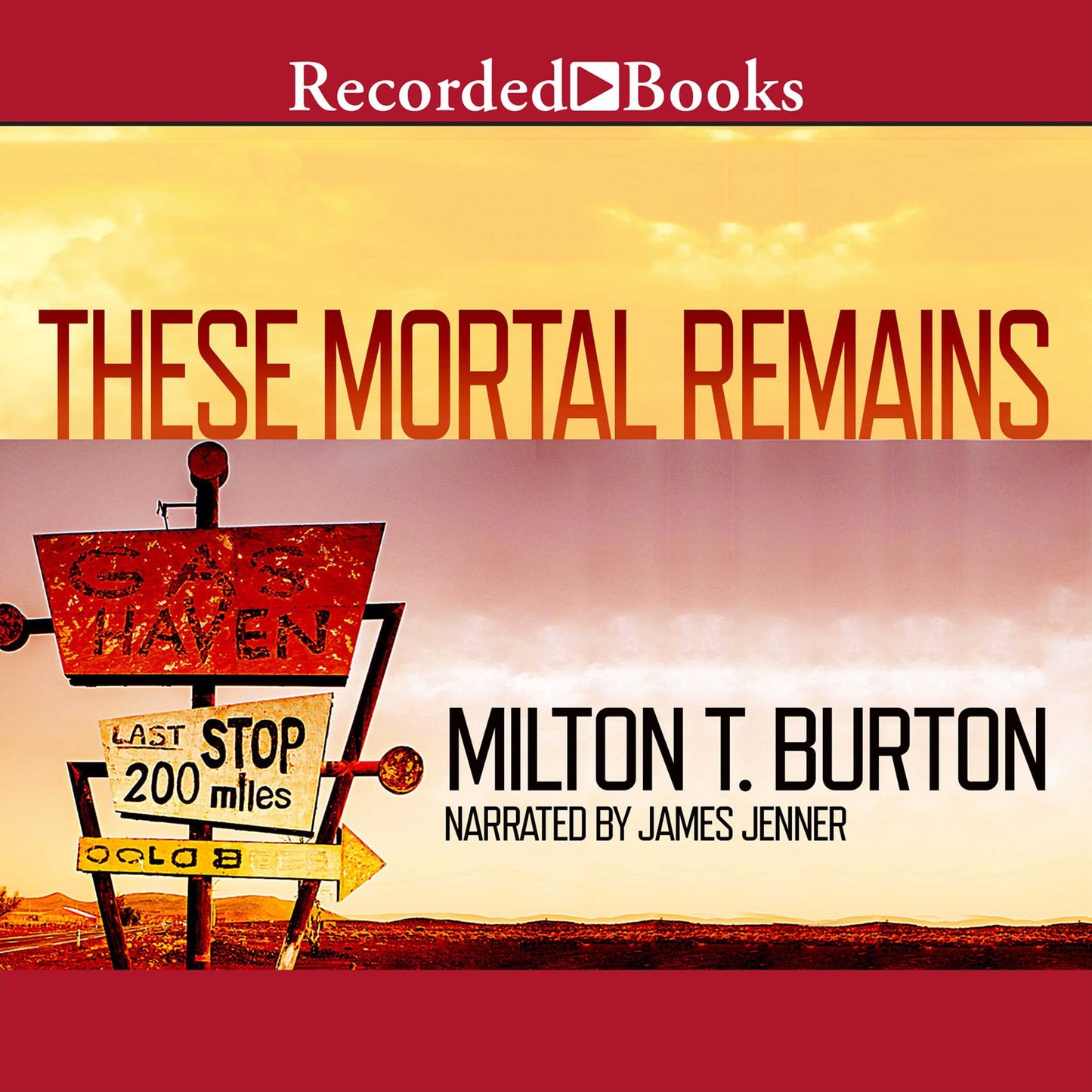These Mortal Remains: A Mystery