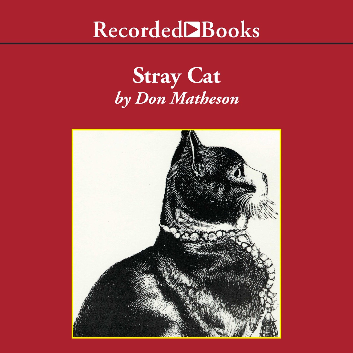 Stray Cat