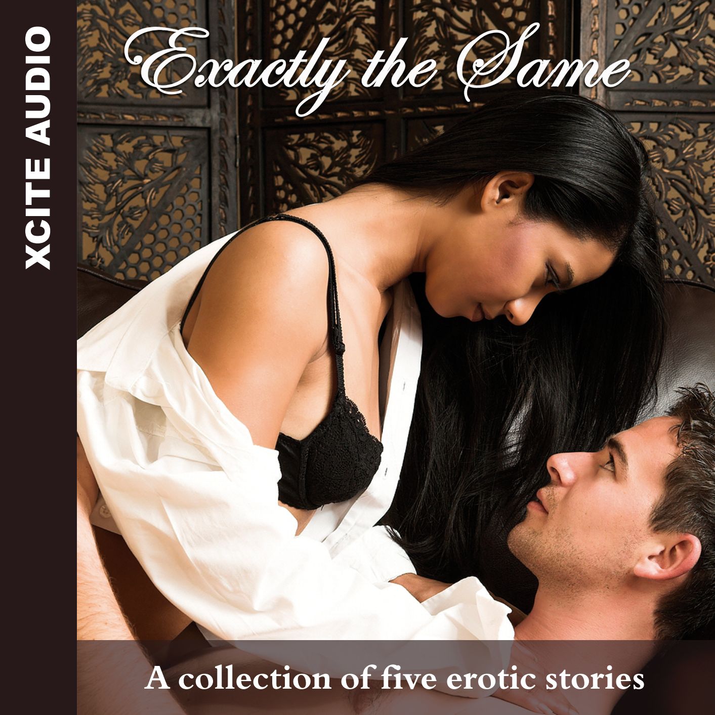Exactly the Same: A collection of five erotic stories (Abridged)