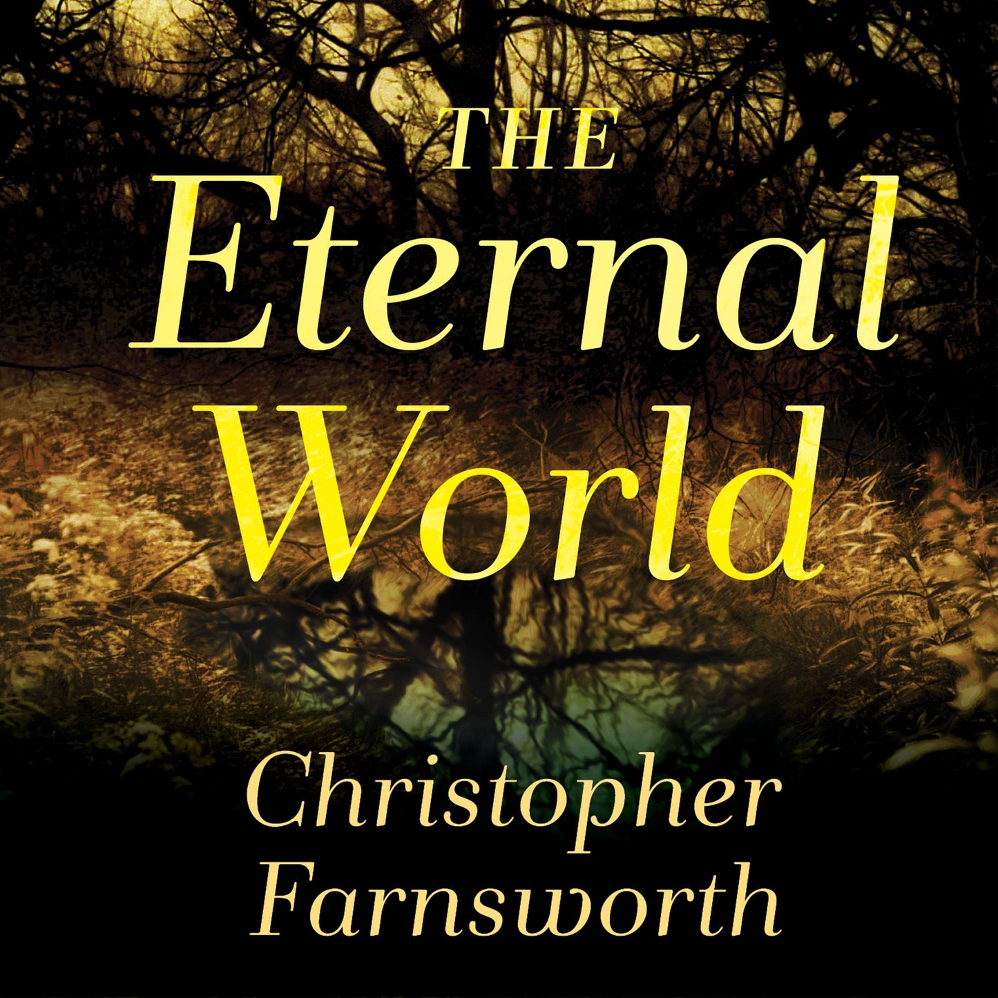 The Eternal World: A Novel
