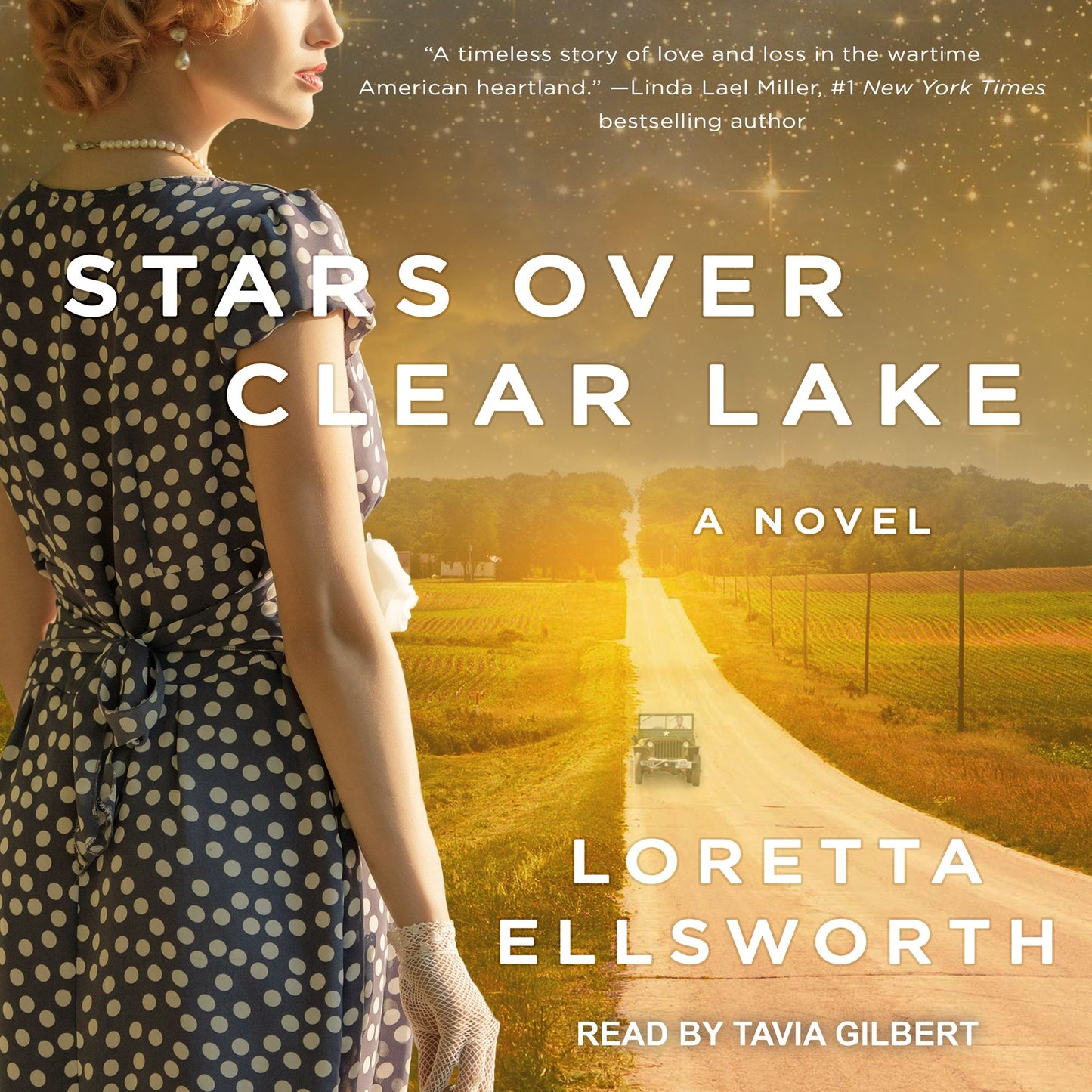 Stars Over Clear Lake: A Novel