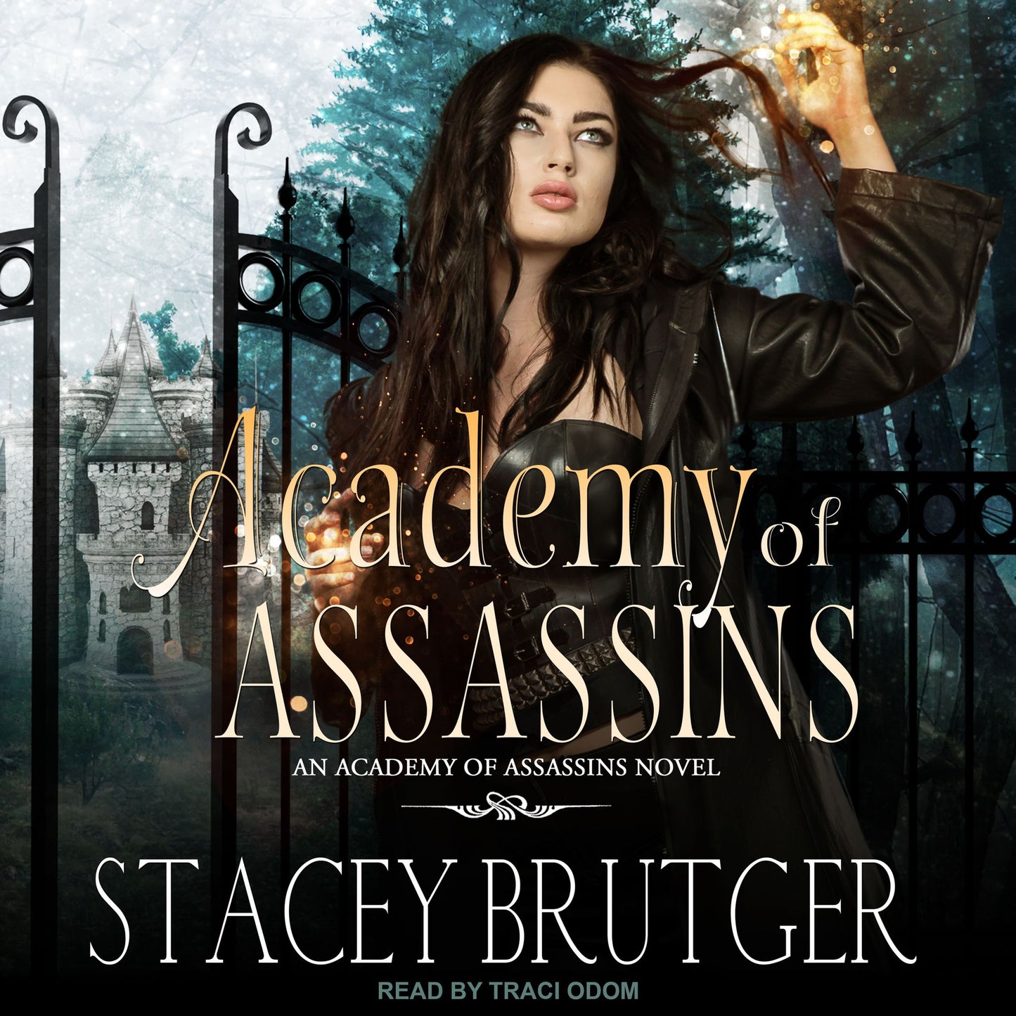 Academy of Assassins