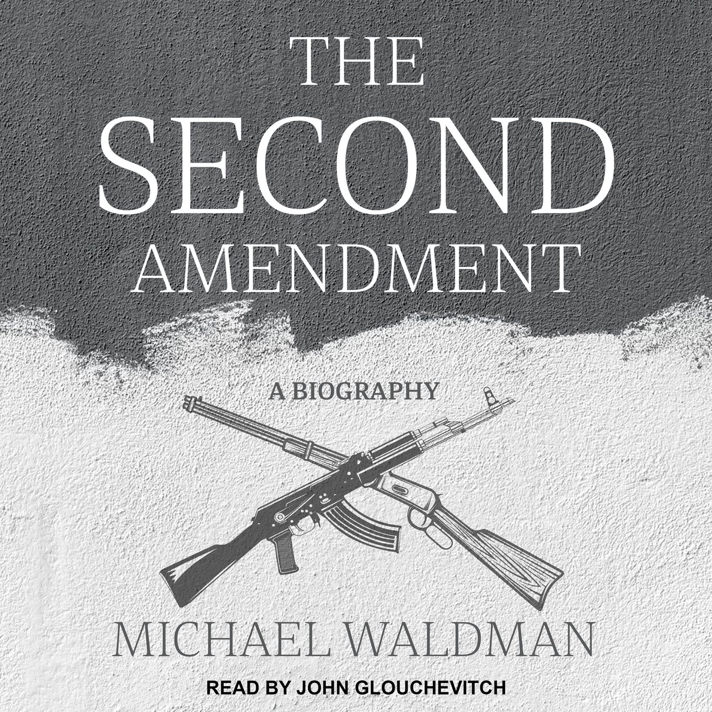 The Second Amendment: A Biography