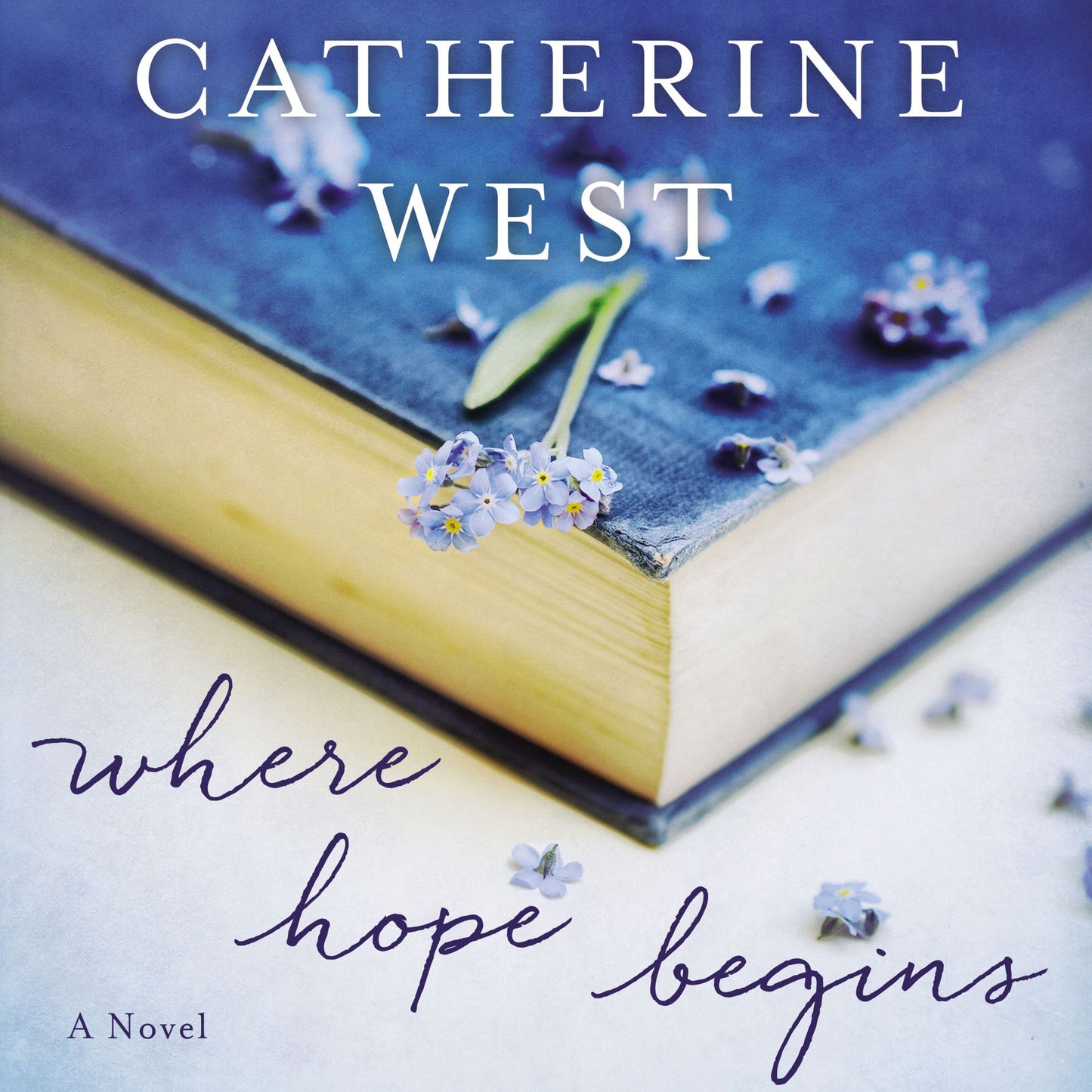 Where Hope Begins: A Novel
