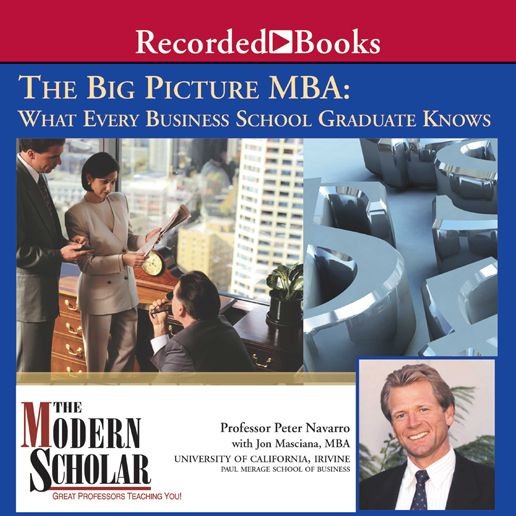 The Big Picture MBA