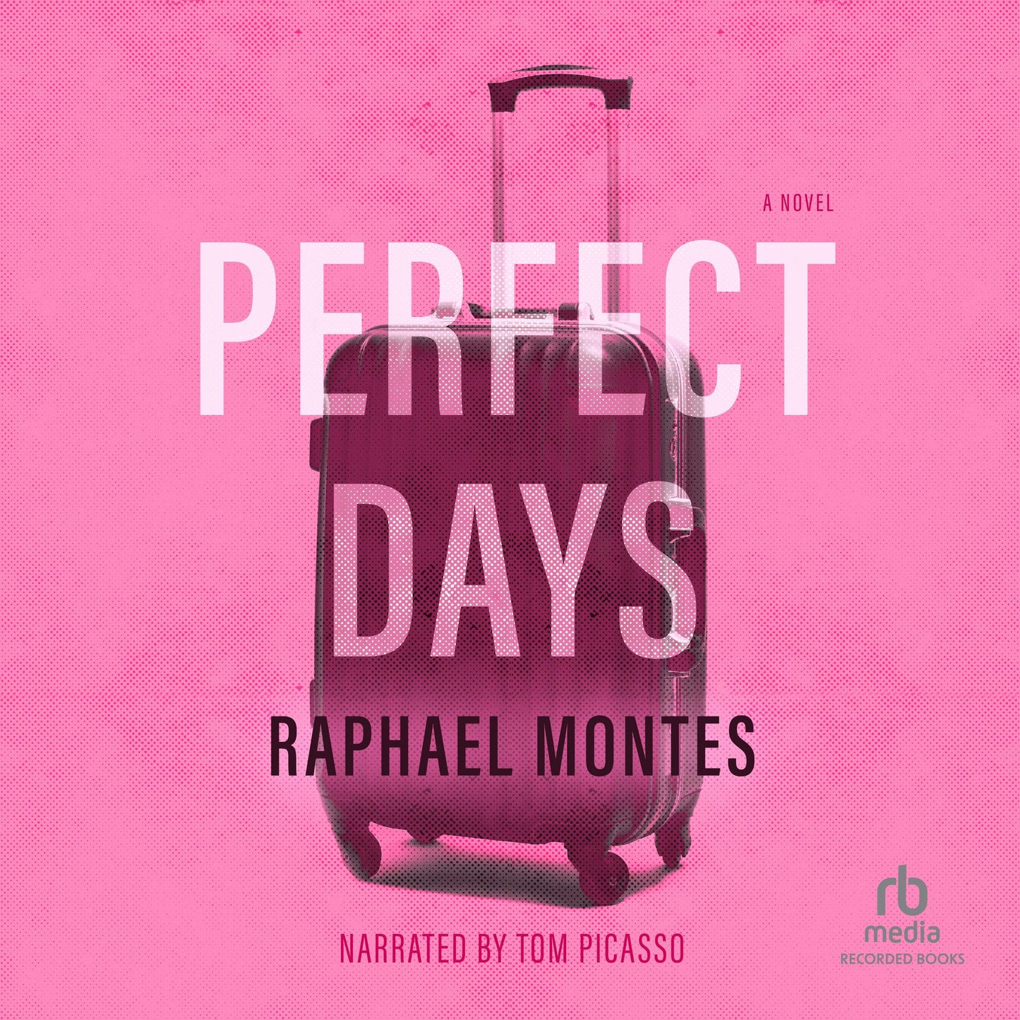 Perfect Days: A Novel