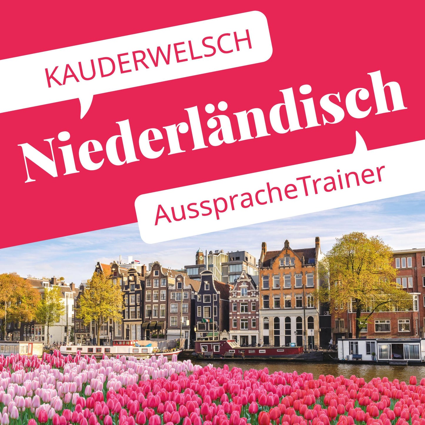 Reise Know-How Kauderwelsch AusspracheTrainer Niederländisch (Abridged)