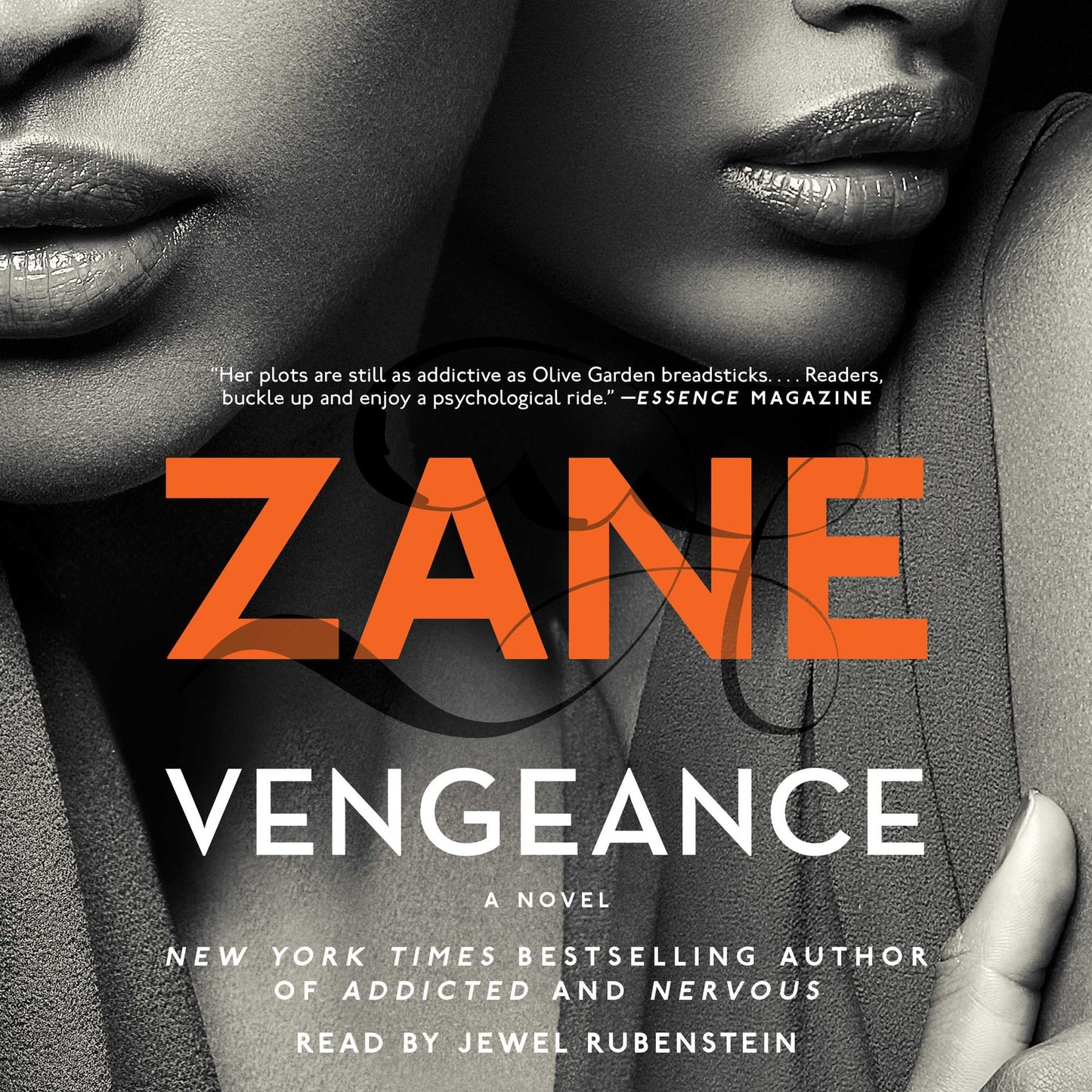 Vengeance: A Novel