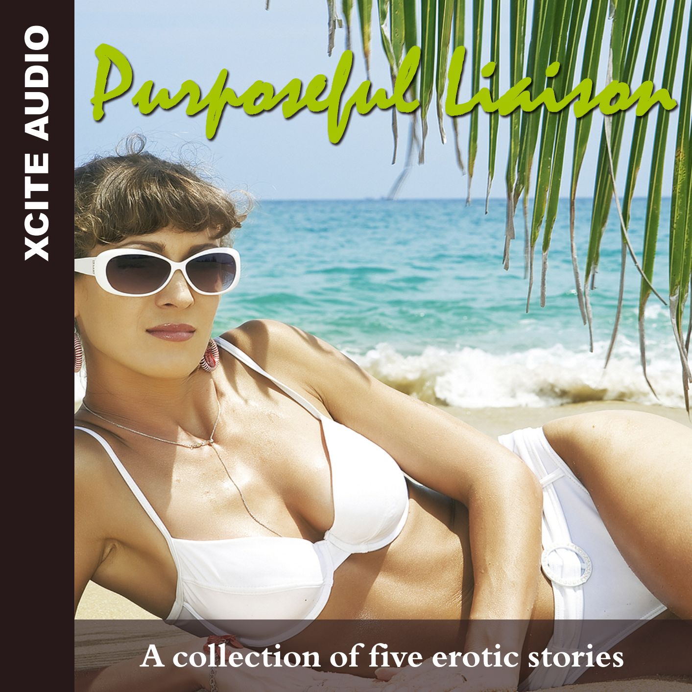 Purposeful Liaison: A collection of five erotic stories (Abridged)