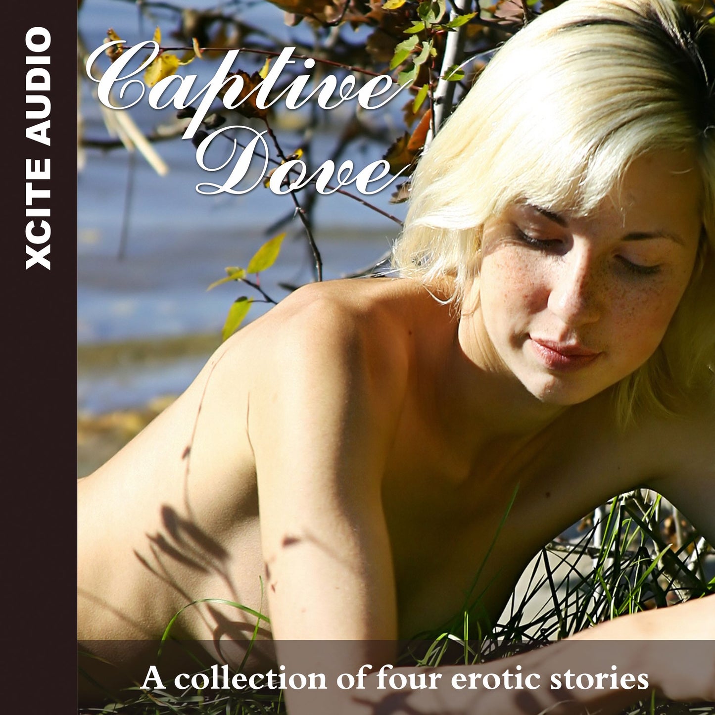 Captive Dove: A collection of four erotic stories (Abridged)