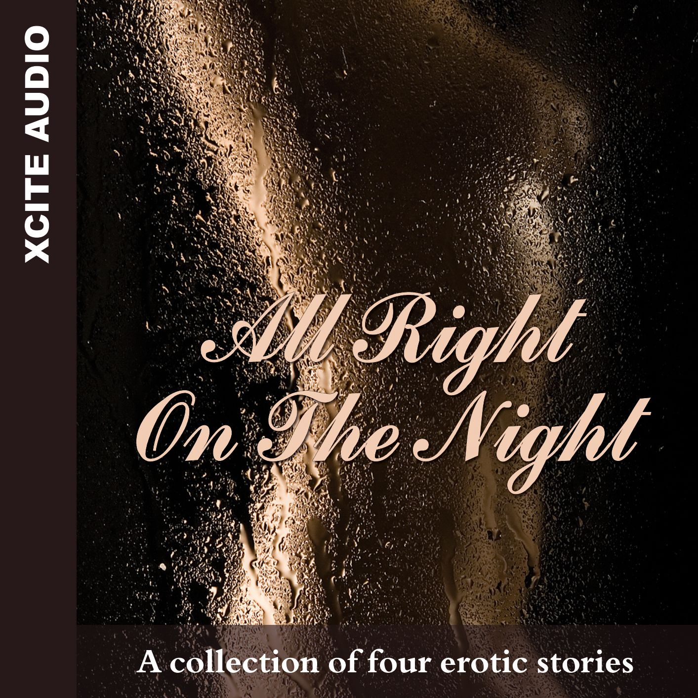 All Right on the Night: A collection of four erotic stories (Abridged)
