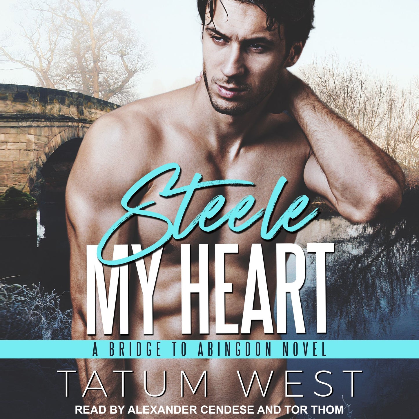 Steele My Heart: A Bridge To Abingdon Novel
