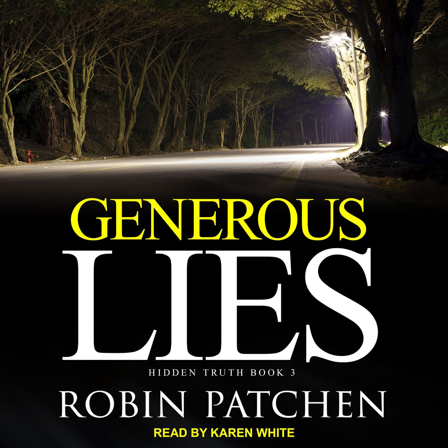 Generous Lies: Hidden Truth, Book 3