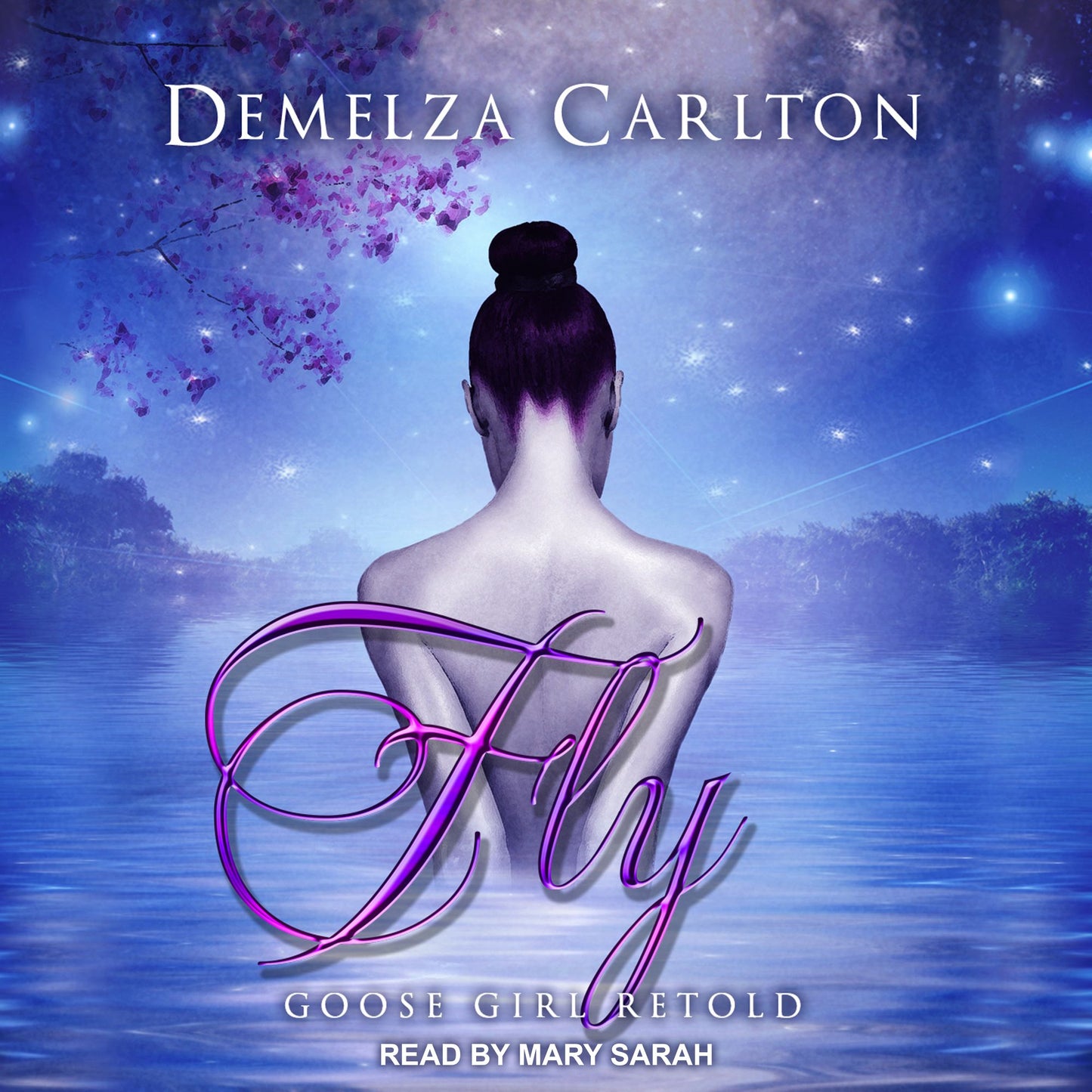 Fly: Goose Girl Retold: Romance a Medieval Fairytale, Book 3