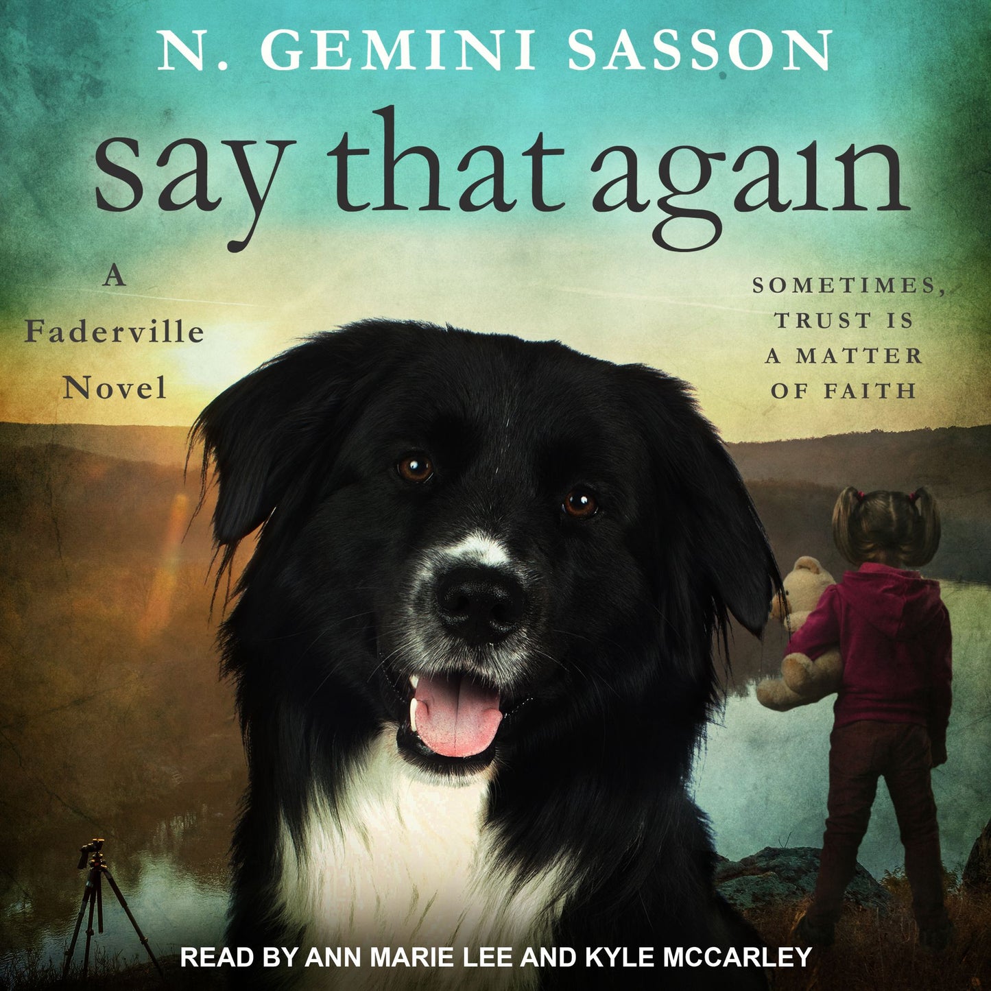 Say That Again: A Faderville Novel