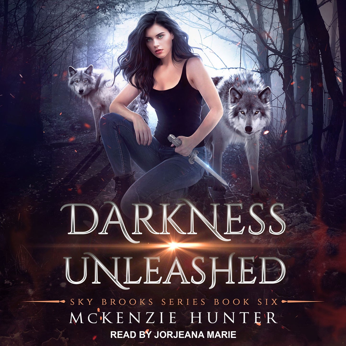 Darkness Unleashed: Sky Brooks, Book 6