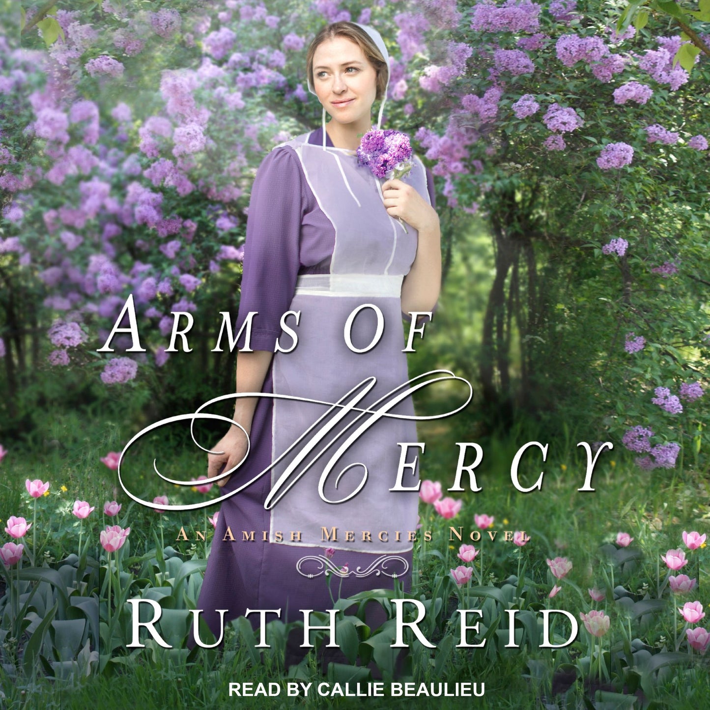 Arms of Mercy: Amish Mercies, Book 2