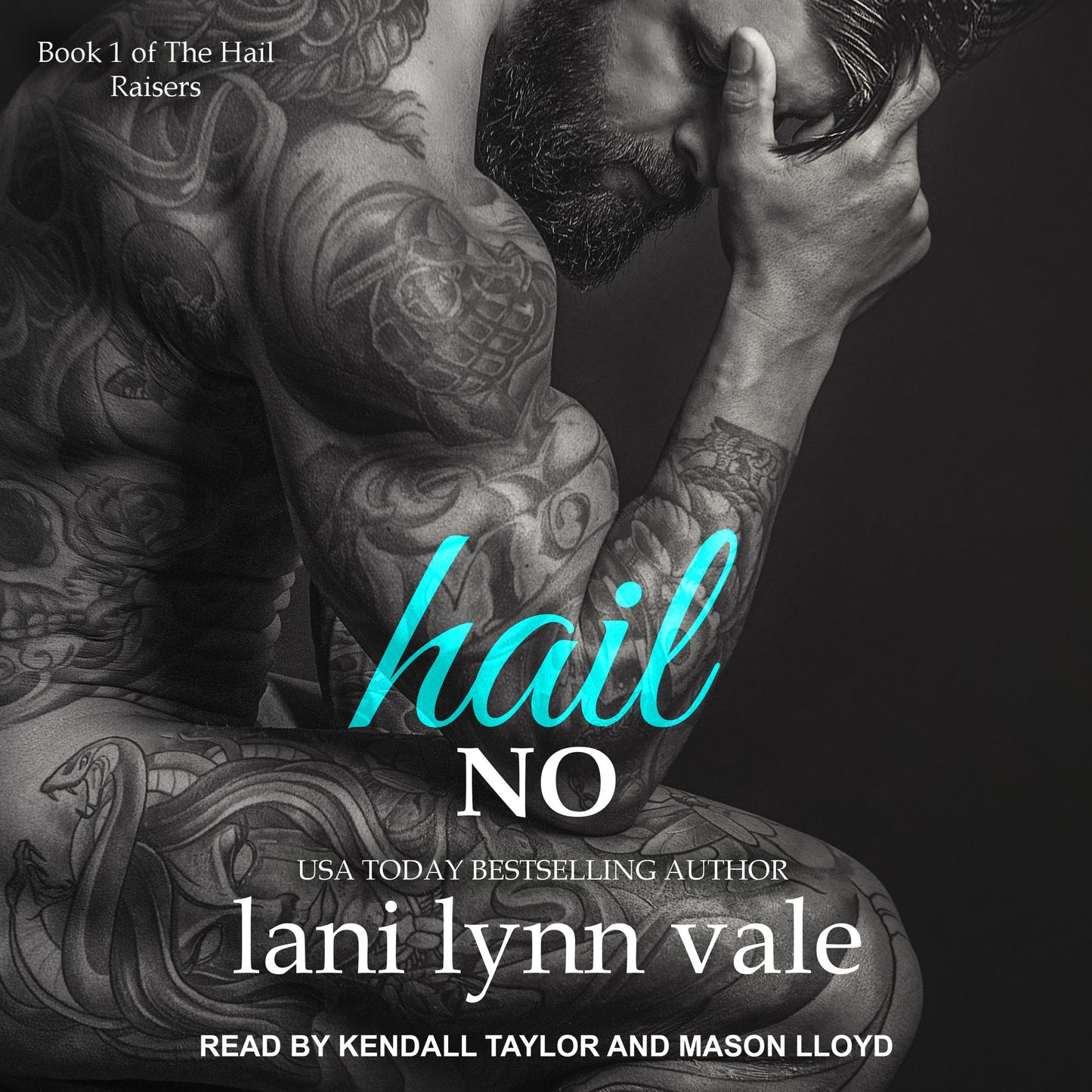 Hail No: Book 1 of The Hail Raisers