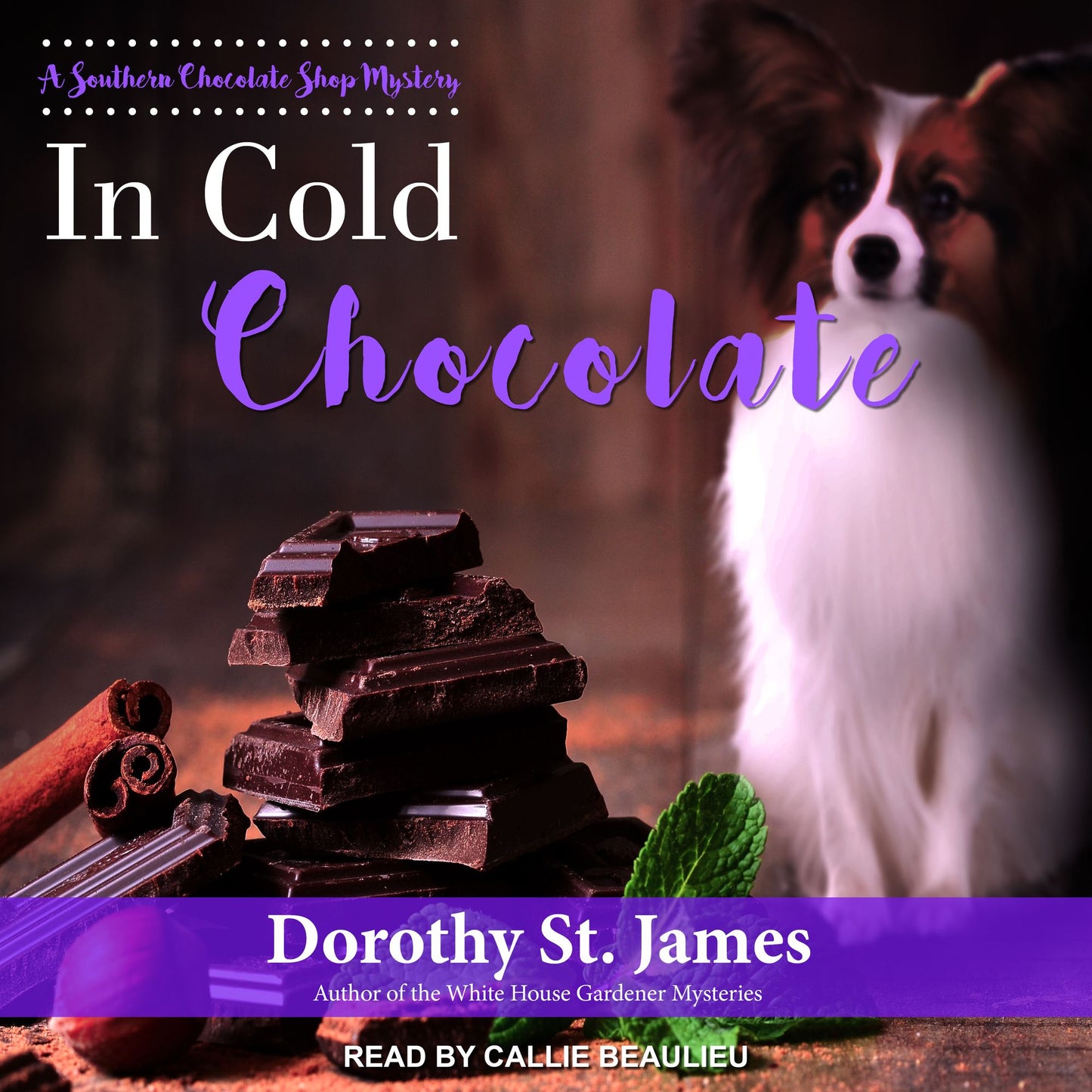 In Cold Chocolate: A Southern Chocolate Shop Mystery