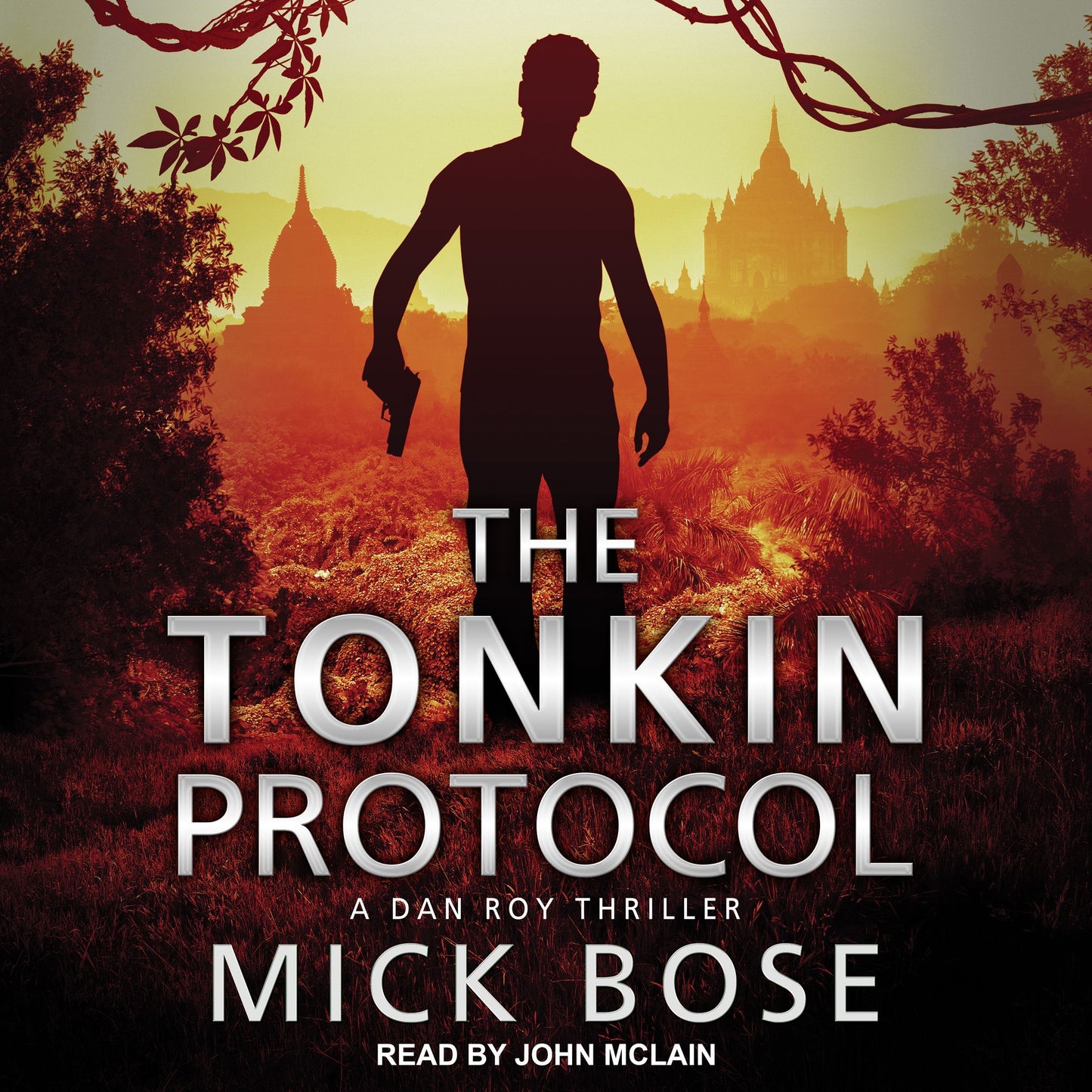The Tonkin Protocol: A Dan Roy Thriller