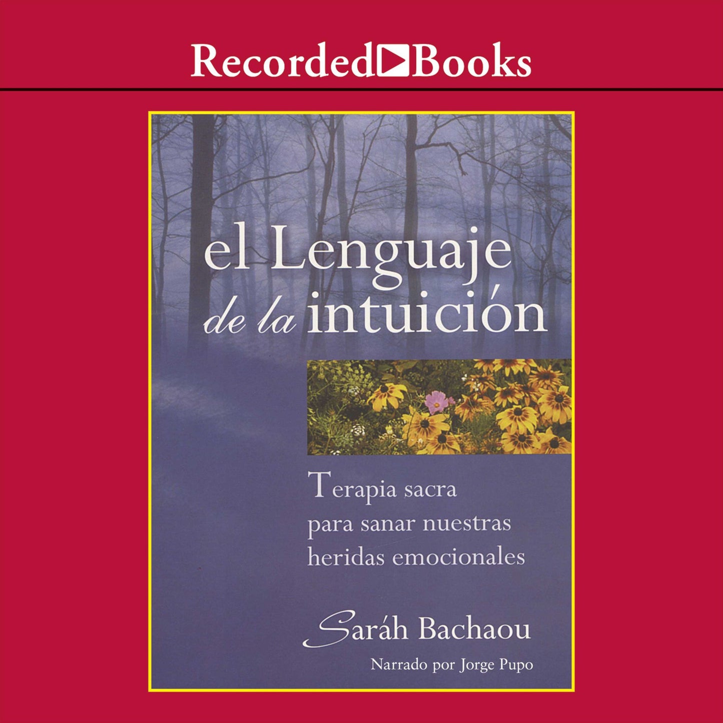 El lenguaje de la intuicion