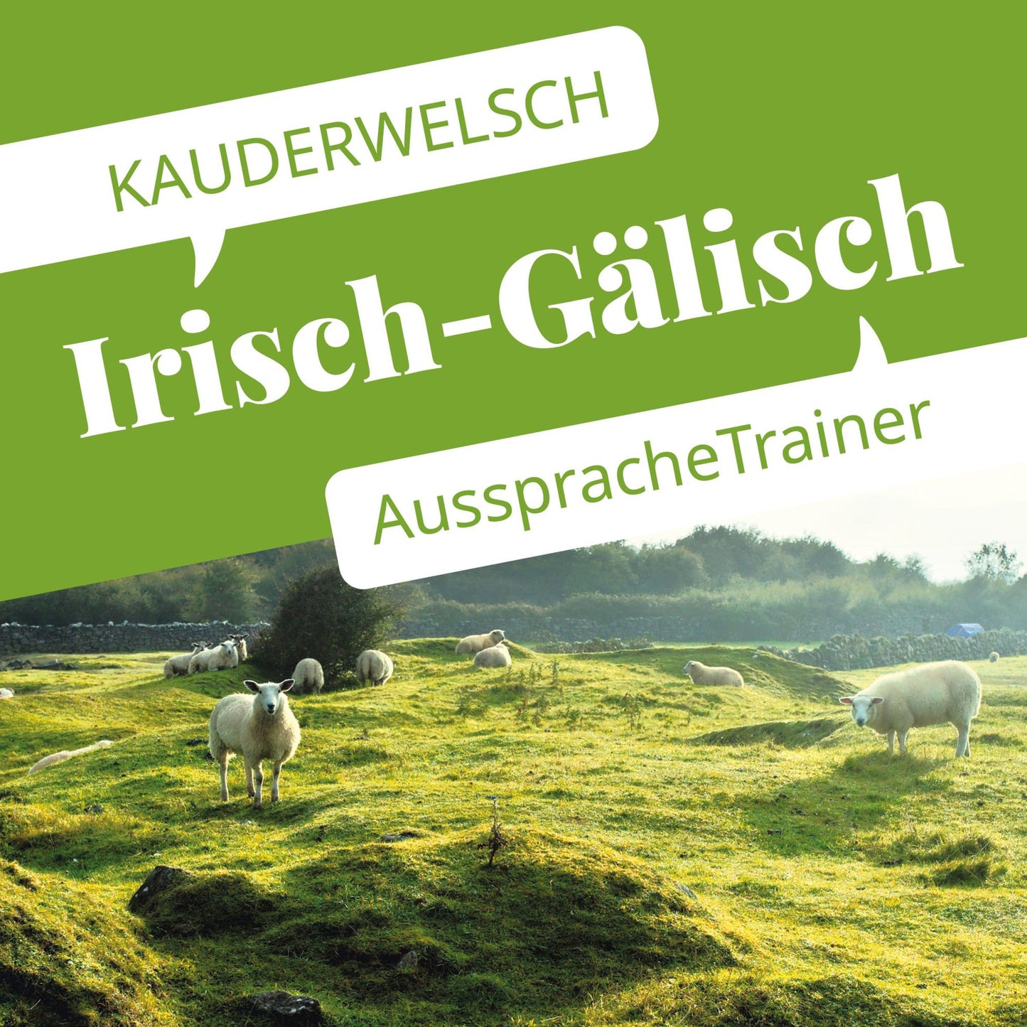 Reise Know-How Kauderwelsch AusspracheTrainer Irisch-Gälisch (Abridged)