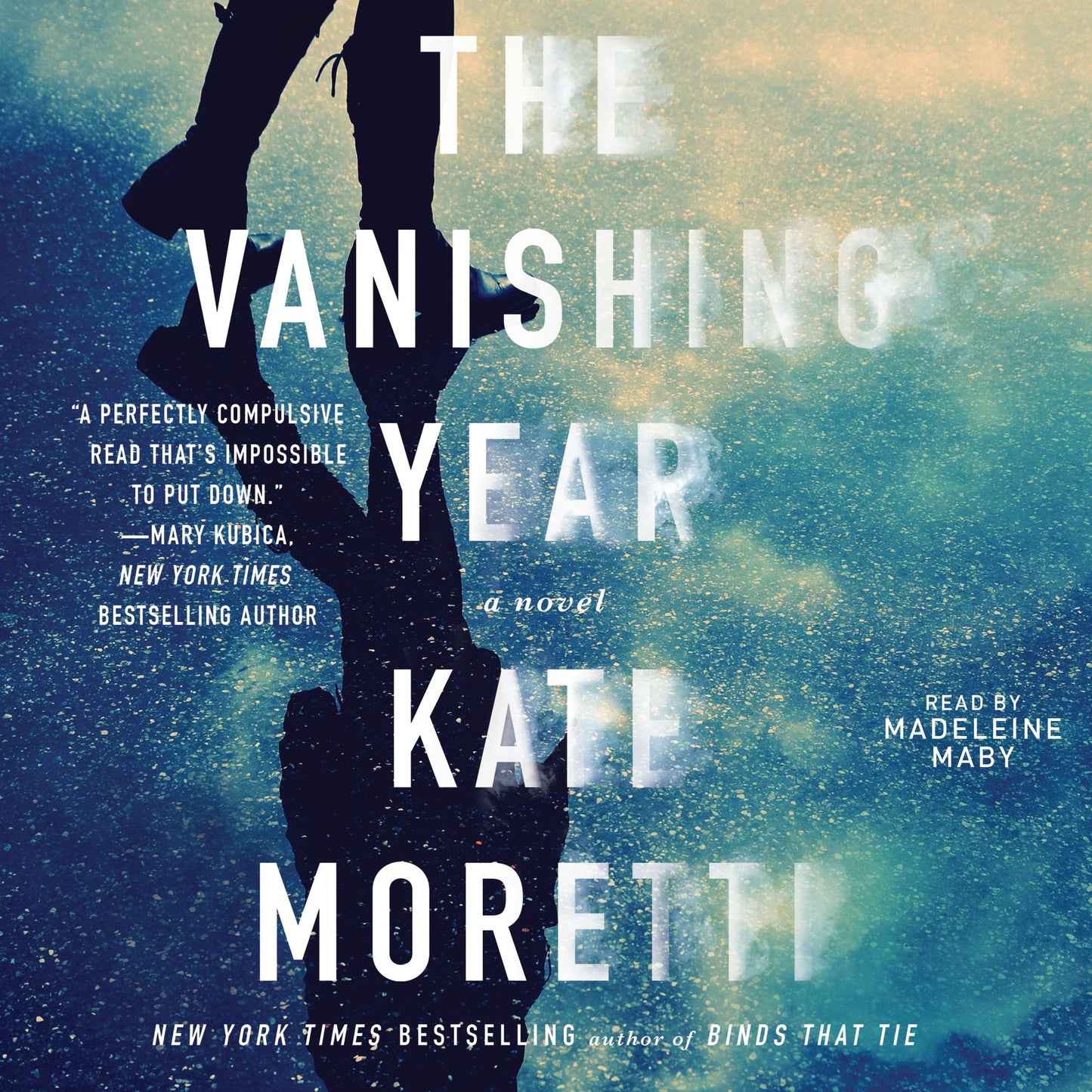 The Vanishing Year: A Novel