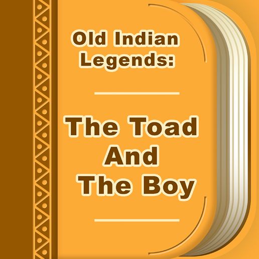The Toad And The Boy