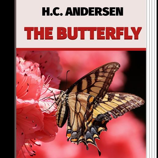 The Butterfly
