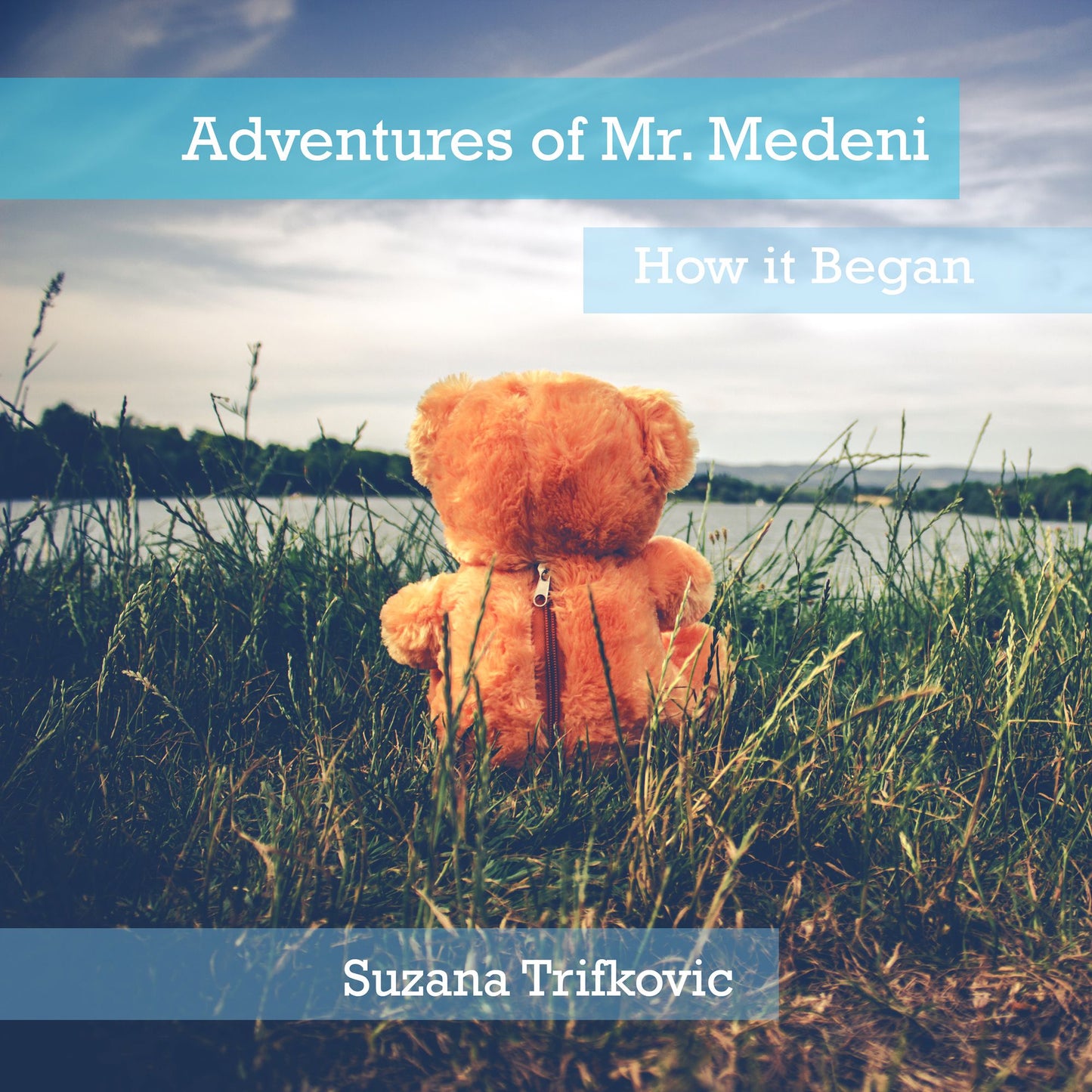 Adventures of Mr. Medeni: How it Began