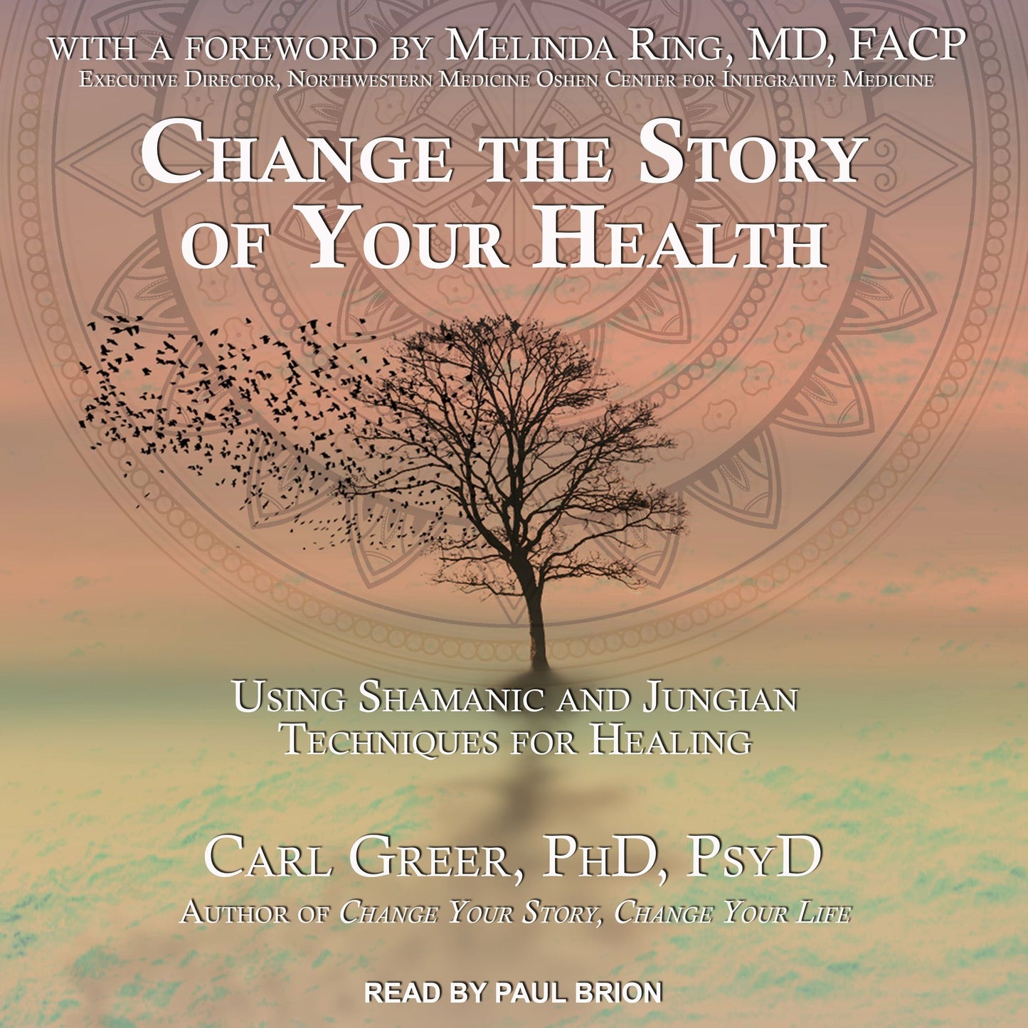 Change the Story of Your Health: Using Shamanic and Jungian Techniques for Healing