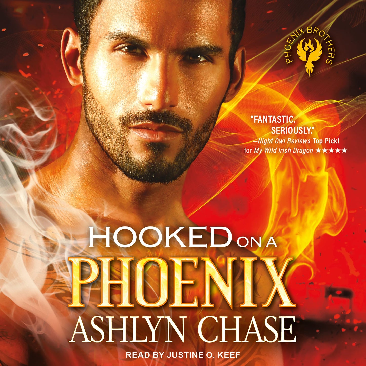 Hooked on a Phoenix: Phoenix Brothers, Book 1