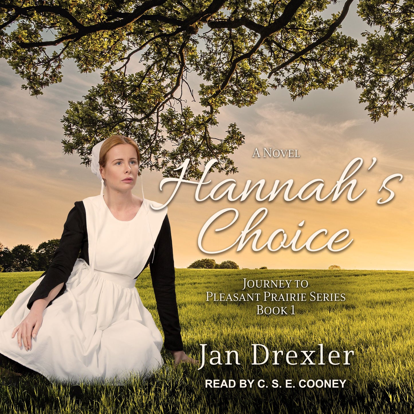 Hannah's Choice: Journey to Pleasant Prairie Series, Book 1