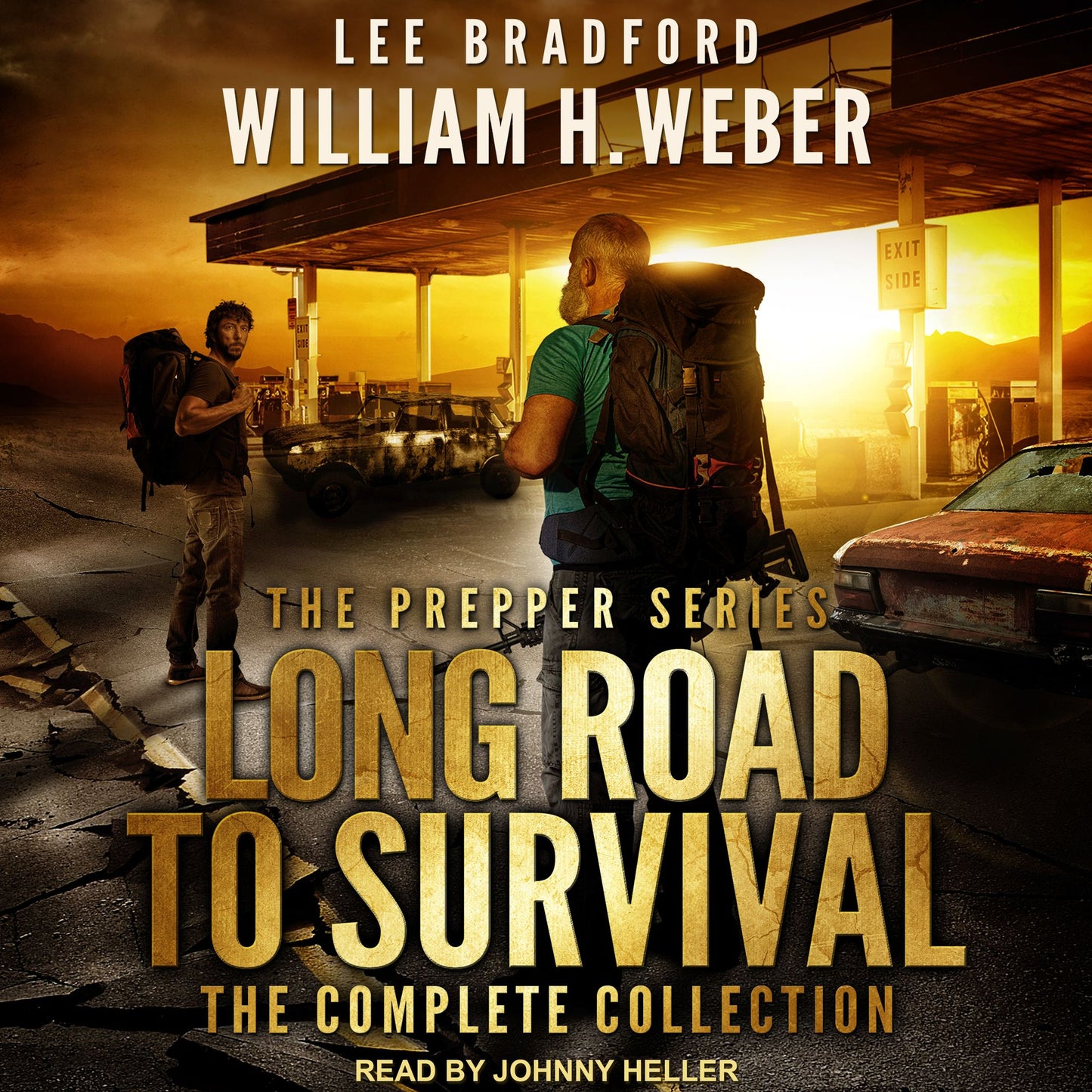 Long Road to Survival: The Complete Box Set: A Post-Apocalyptic Survival Thriller