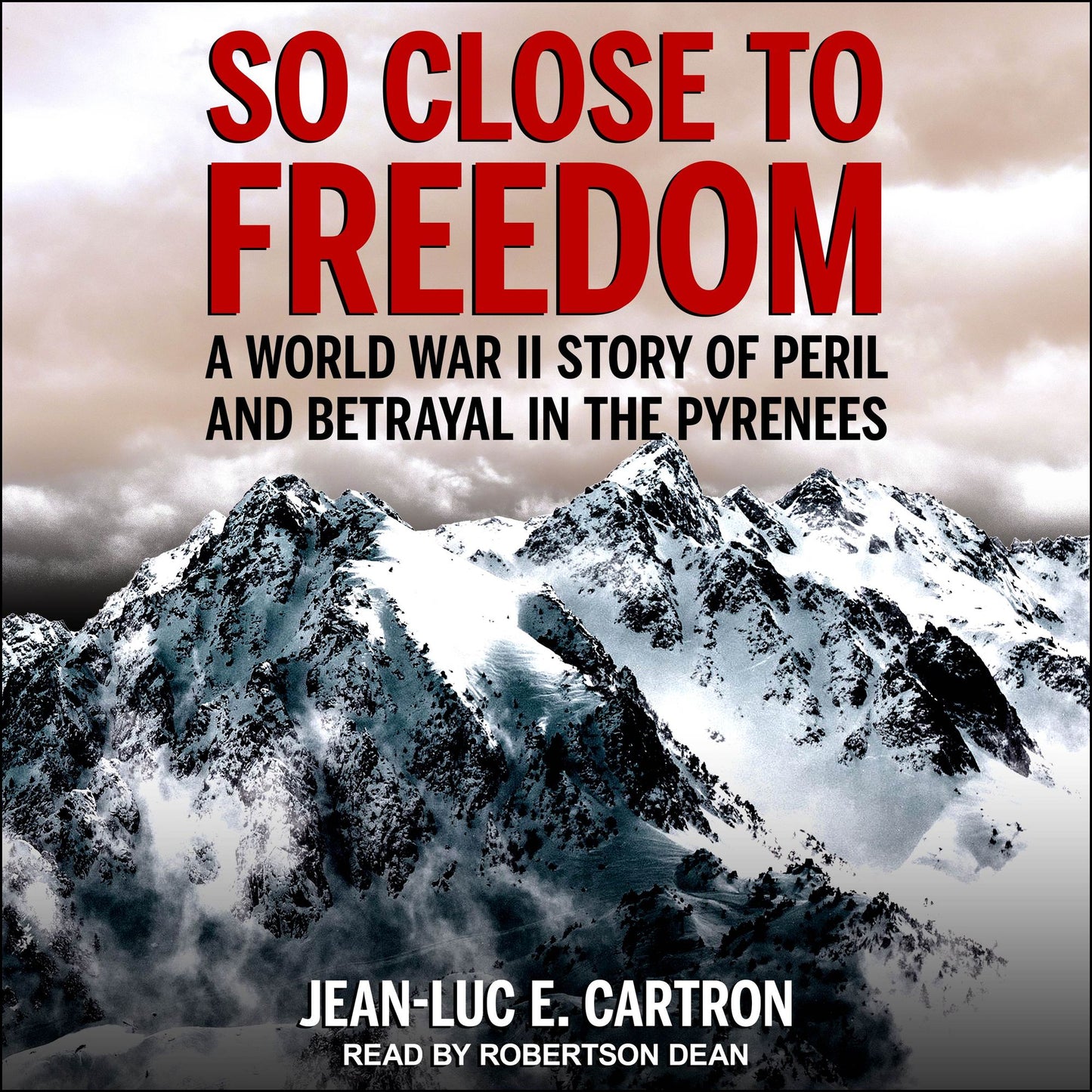 So Close to Freedom: A World War II Story of Peril and Betrayal in the Pyrenees