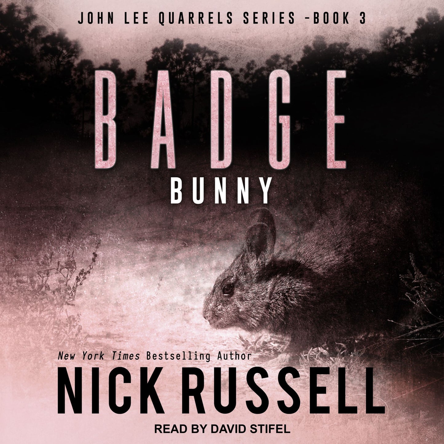 Badge Bunny: John Lee Quarrels Series, Book 3