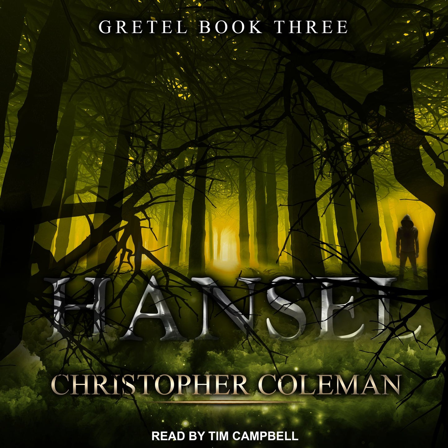 Hansel: Gretel Book Three
