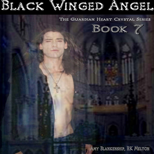Black Winged Angel: The Guardian Heart Crystal Book 7