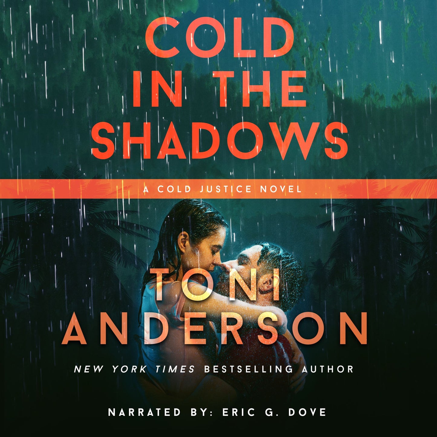 Cold In The Shadows: FBI Romantic Suspense