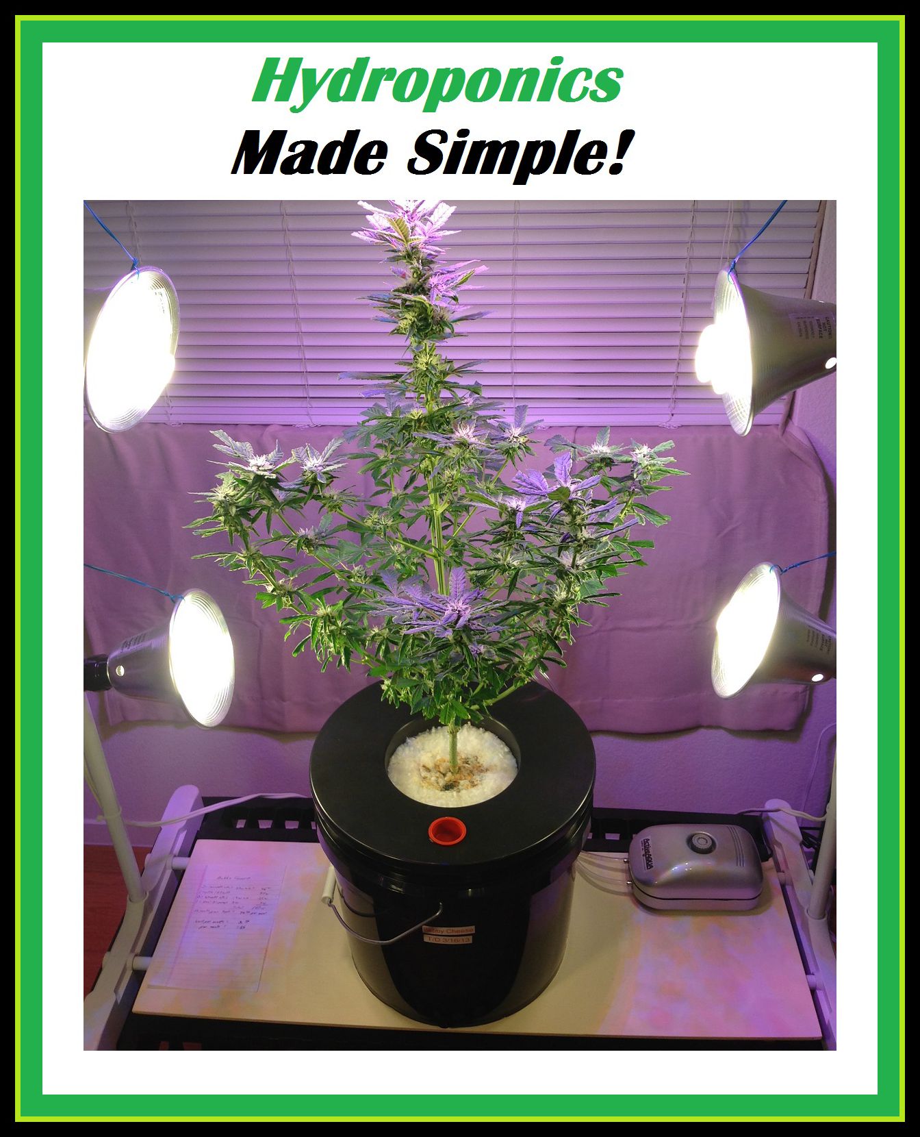 Hydroponics Made Simple