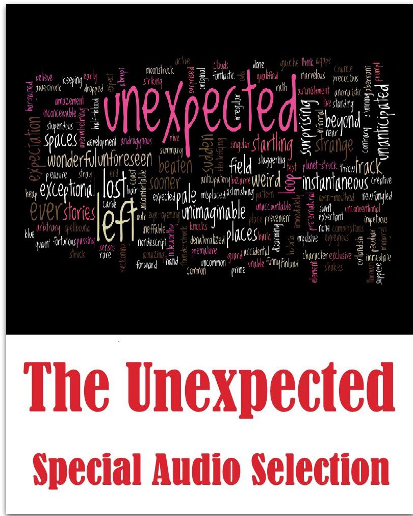 Unexpected: Mystery Story, The