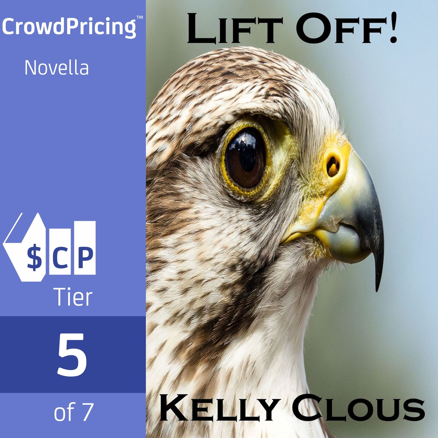 Lift Off!: Novella