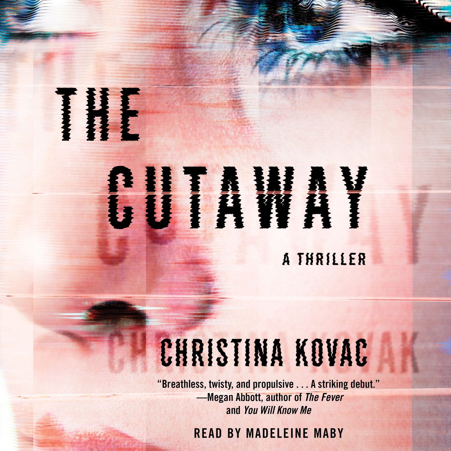 The Cutaway: A Thriller
