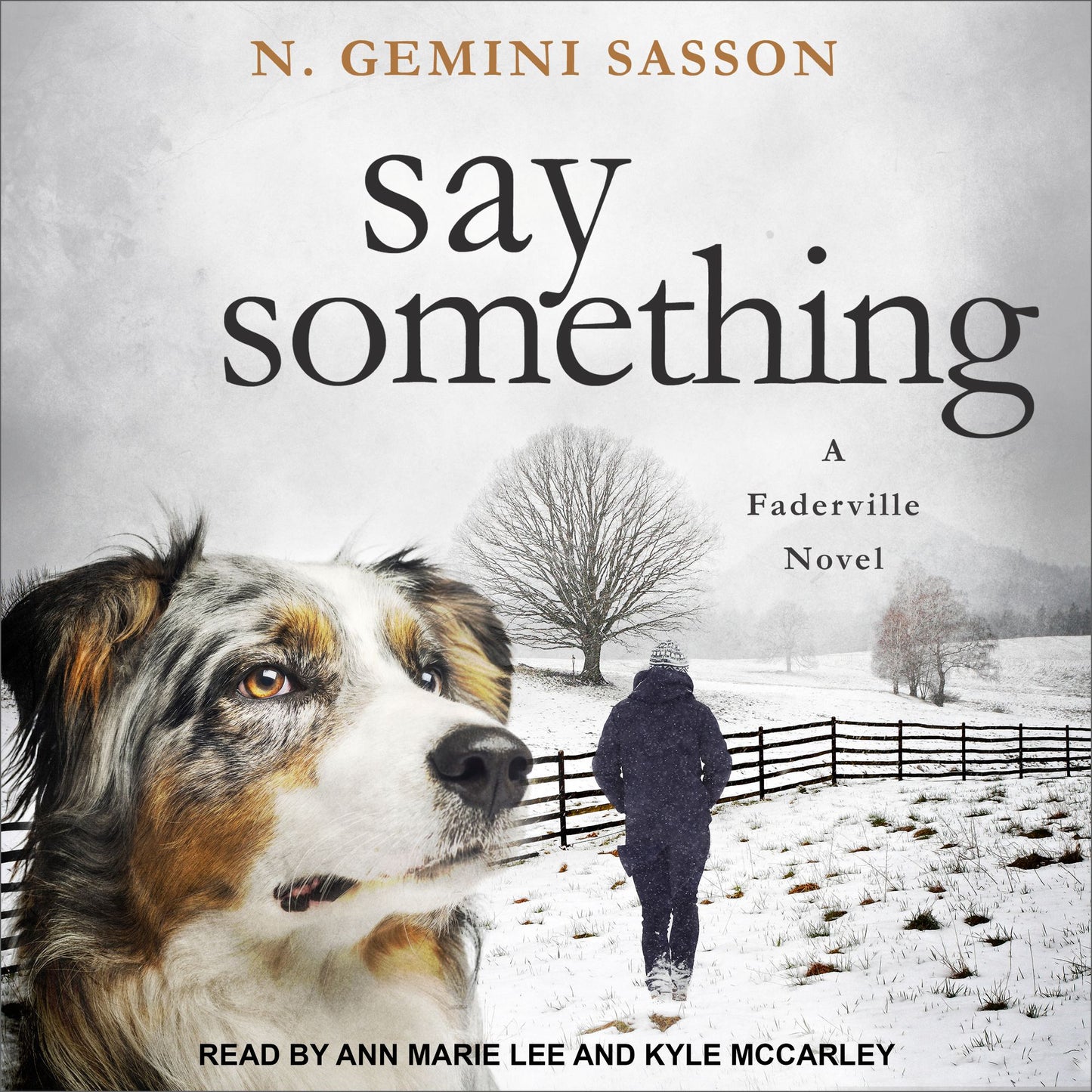 Say Something: A Faderville Novel