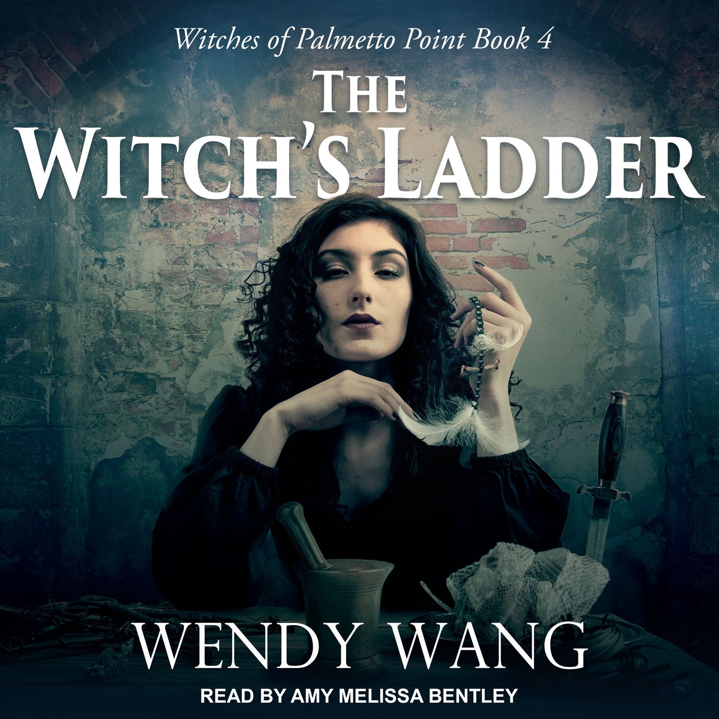 The Witch's Ladder: Witches of Palmetto Point, Book 4